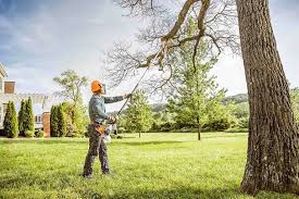 How Our Tree Care Process Works  in  Loomis, CA